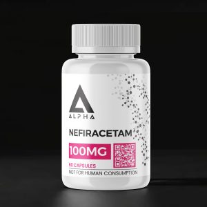Nefiracetam